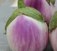 300 semi melanzana - semi, bianca