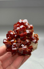 Vanadinite rossa assolutamente