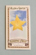 2022 Topps Allen & Ginter Mini