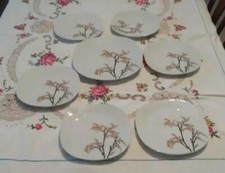 Servizio dolci BAVARIA composto da 6 piattini + piatto torta 