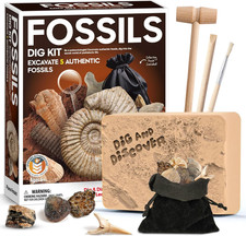 Kit Scavo Fossili per Bambini