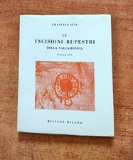 LE INCISIONI RUPESTRI DELLA
