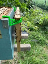 Staffe Portafavi Telaini Api