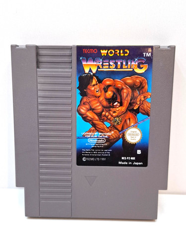 Tecmo world wrestling - tecmo, nintendo