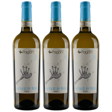 VINO FATTORIA PAGANO GRECO DI