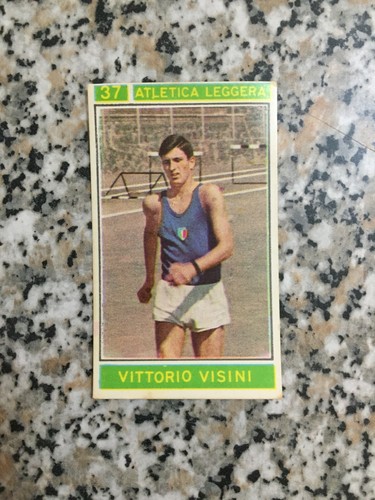 Visini panini campioni - visini,