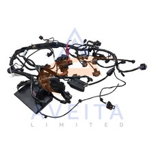 Telaio TRIUMPH Trident 2023