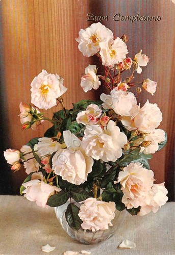 Cartolina buon compleanno vaso - compleanno,