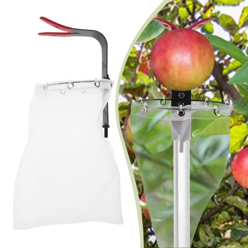 Testa raccoglitrice frutta - raccoglitrice, di