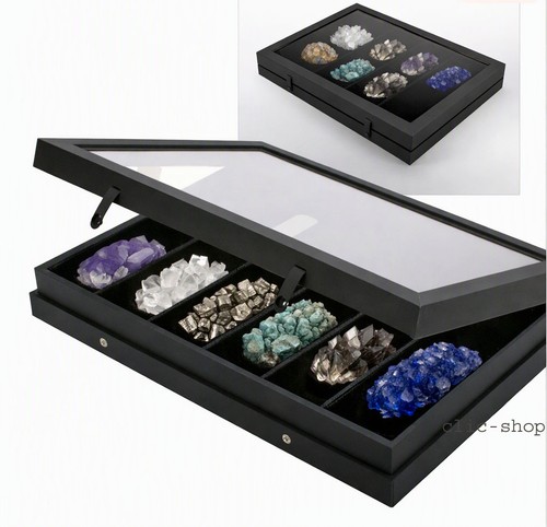 Vetrinetta black edition - vetrinetta, con