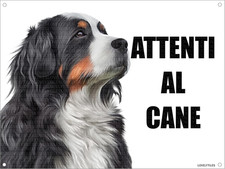 BOVARO DEL BERNESE Attenti Al