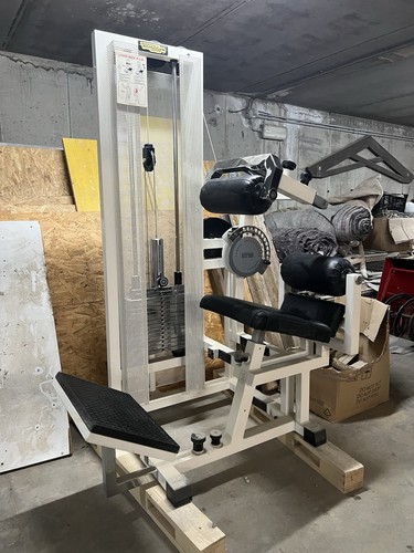 Macchina technogym lower back - technogym,