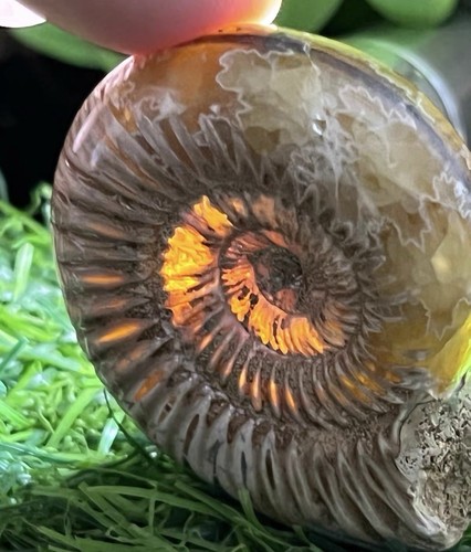 Raro esemplare cristallo - di,