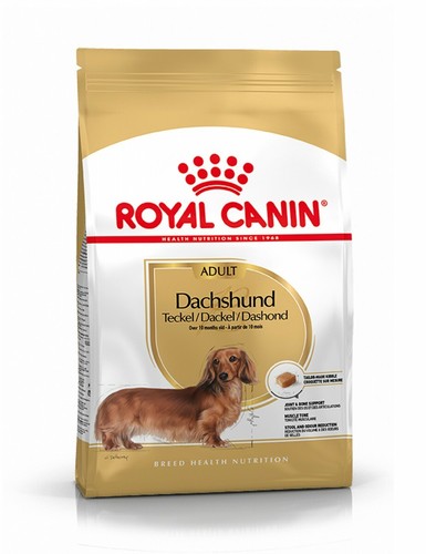 Royal canin bassotto adult 5 - royal,