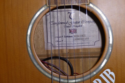 Tanglewood chitarra con - tanglewood,