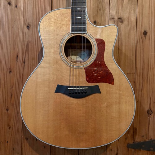 Chitarra elettrica acustica