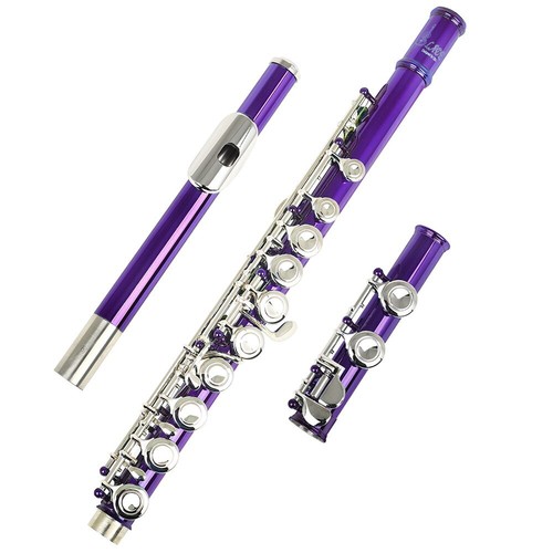 Strumento flauto con custodia - flauto,