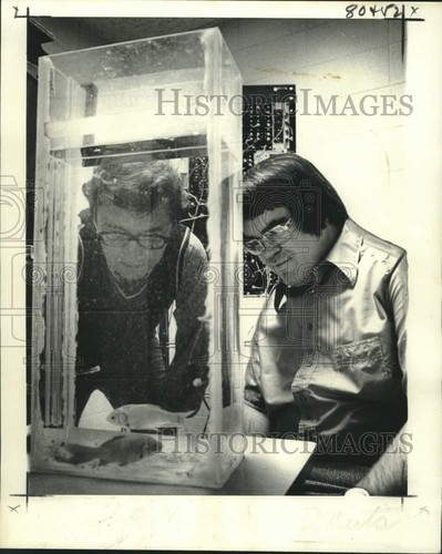 Foto stampa 1974 - dott., ibanez