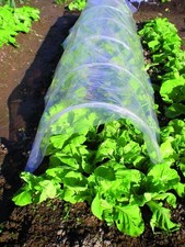 Serre a Tunnel Blinky Pvc Cm