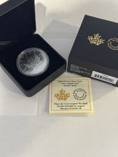 2020 W 1 oz 99,99% ARGENTO