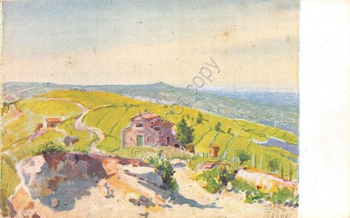 Cartolina illustrata wolf - cartolina,