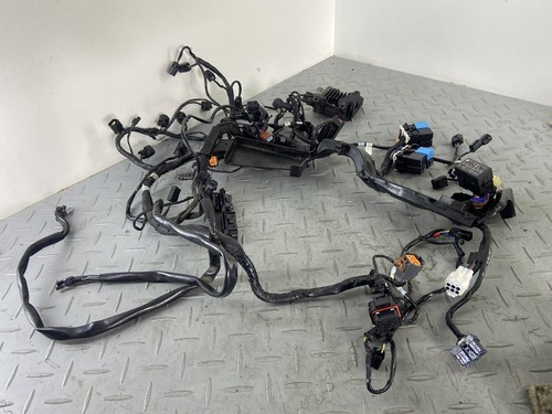 Cablaggio completo triumph - completo,