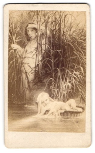 Collezione fotografia moderna - collezione,