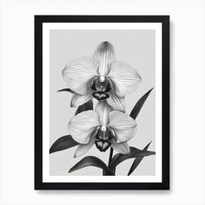 Quadro stampa tela - , poster