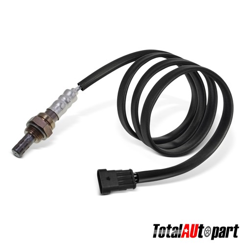 Oxygen sensor for bimota - sensor,