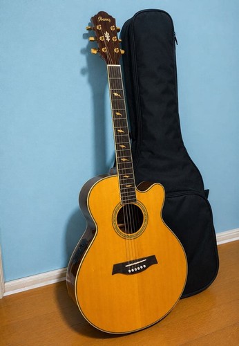 Chitarra elettroacustica