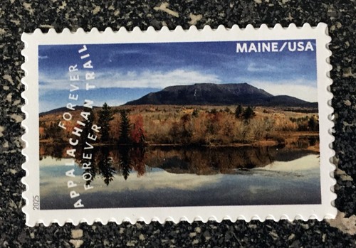 2025usa 5960b forever the - #5960b,