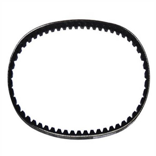 Cinghia servizi alternatore - cinghia,