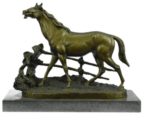 Arabo cavallo stallone mene - arabo,