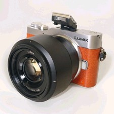 Panasonic Lumix DC-GX800 incl