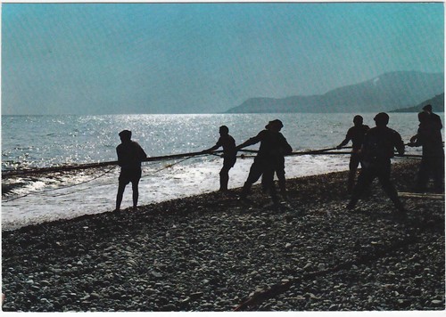 Versilia lucca - versilia,