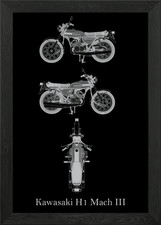 Quadro Stampa su Tela Poster