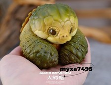 Alligator Snapping Turtle