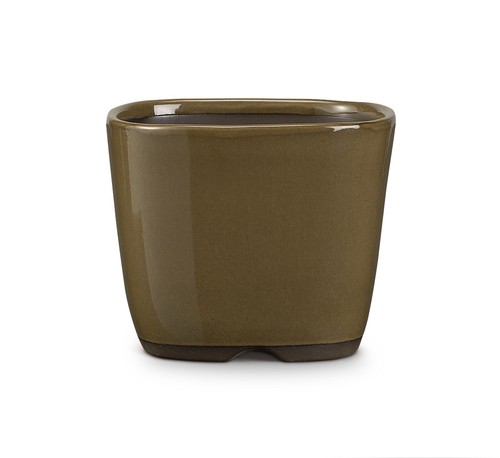 Certrè vaso per - -, bonsai