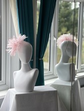 Splendido fascinatore rosa 