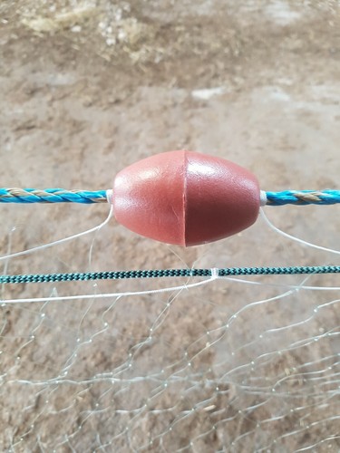 Gill net survival one - net/survival,