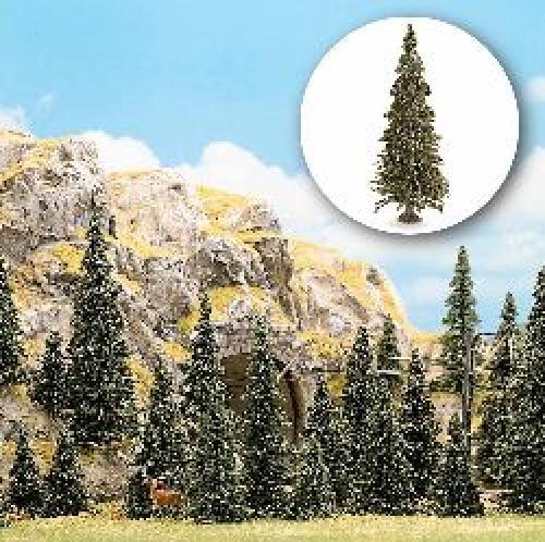 Assortiti pines con radici - assortiti,