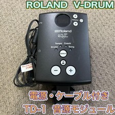 Modulo batteria elettronica |