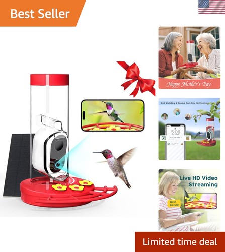 Alimentatore colibrì con - colibrì,