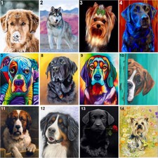 Trapano Completo Cane