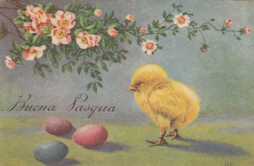 Cartolina augurale buona - ,