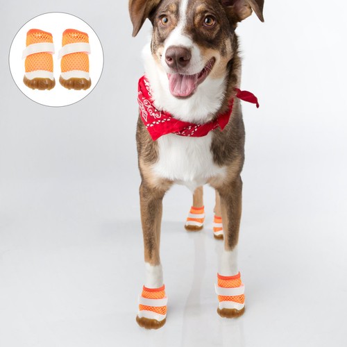 Pezzi scarpe cane - pezzi, da