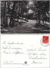 VALLOMBROSA - FIRENZE - VIALE