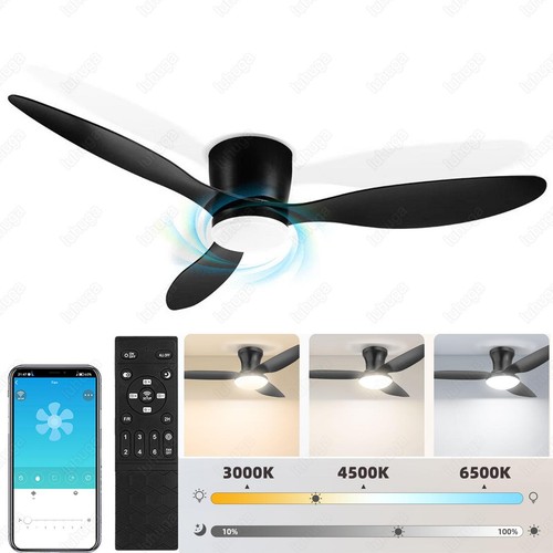 Ventilatore soffitto con - da,