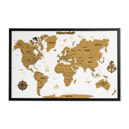 Mappa del mondo sughero - mappa,