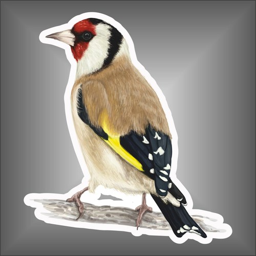 Adesivo uccello cardellino - ,